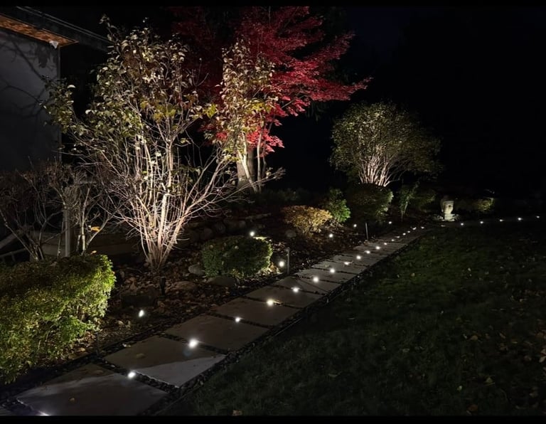 Nighttime garden landscape with illuminated pathway lined by ground lights, decorative uplighting on trees in gold and red tones, and manicured hedges